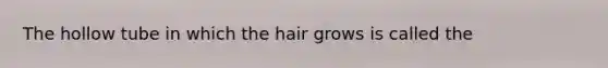 The hollow tube in which the hair grows is called the