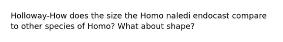 Holloway-How does the size the Homo naledi endocast compare to other species of Homo? What about shape?