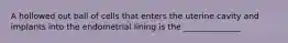 A hollowed out ball of cells that enters the uterine cavity and implants into the endometrial lining is the ______________