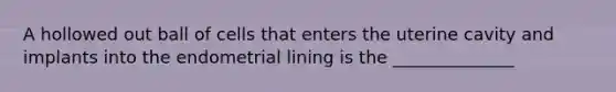 A hollowed out ball of cells that enters the uterine cavity and implants into the endometrial lining is the ______________