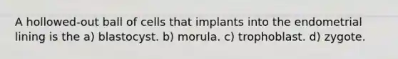 A hollowed-out ball of cells that implants into the endometrial lining is the a) blastocyst. b) morula. c) trophoblast. d) zygote.