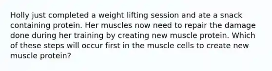 Holly just completed a weight lifting session and ate a snack containing protein. Her muscles now need to repair the damage done during her training by creating new muscle protein. Which of these steps will occur first in the muscle cells to create new muscle protein?