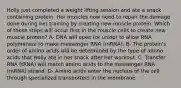 Holly just completed a weight lifting session and ate a snack containing protein. Her muscles now need to repair the damage done during her training by creating new muscle protein. Which of these steps will occur first in the muscle cells to create new muscle protein? A- DNA will open (or unzip) to allow RNA polymerase to make messenger RNA (mRNA). B- The protein's order of amino acids will be determined by the type of amino acids that Holly ate in her snack after her workout. C- Transfer RNA (tRNA) will match amino acids to the messenger RNA (mRNA) strand. D- Amino acids enter the nucleus of the cell through specialized transporters in the membrane.