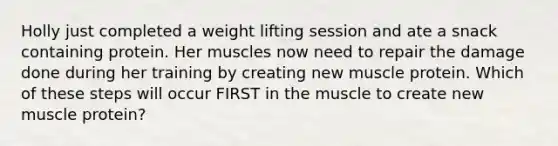 Holly just completed a weight lifting session and ate a snack containing protein. Her muscles now need to repair the damage done during her training by creating new muscle protein. Which of these steps will occur FIRST in the muscle to create new muscle protein?