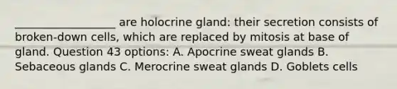 __________________ are holocrine gland: their secretion consists of broken-down cells, which are replaced by mitosis at base of gland. Question 43 options: A. Apocrine sweat glands B. Sebaceous glands C. Merocrine sweat glands D. Goblets cells