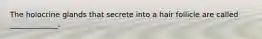 The holocrine glands that secrete into a hair follicle are called _____________.