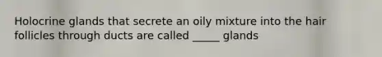Holocrine glands that secrete an oily mixture into the hair follicles through ducts are called _____ glands