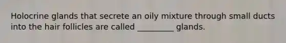 Holocrine glands that secrete an oily mixture through small ducts into the hair follicles are called _________ glands.