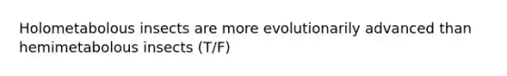 Holometabolous insects are more evolutionarily advanced than hemimetabolous insects (T/F)