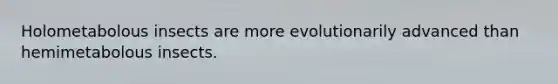 Holometabolous insects are more evolutionarily advanced than hemimetabolous insects.