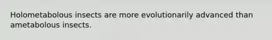 Holometabolous insects are more evolutionarily advanced than ametabolous insects.