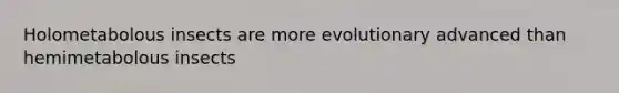 Holometabolous insects are more evolutionary advanced than hemimetabolous insects