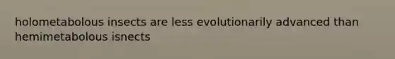 holometabolous insects are less evolutionarily advanced than hemimetabolous isnects