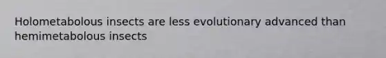 Holometabolous insects are less evolutionary advanced than hemimetabolous insects