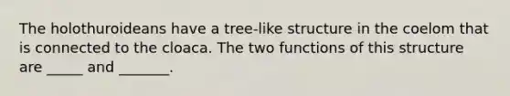 The holothuroideans have a tree-like structure in the coelom that is connected to the cloaca. The two functions of this structure are _____ and _______.