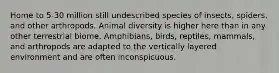 Home to 5-30 million still undescribed species of insects, spiders, and other arthropods. Animal diversity is higher here than in any other terrestrial biome. Amphibians, birds, reptiles, mammals, and arthropods are adapted to the vertically layered environment and are often inconspicuous.