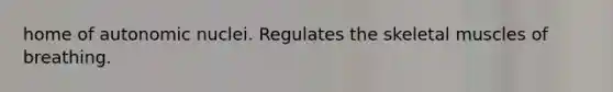home of autonomic nuclei. Regulates the skeletal muscles of breathing.