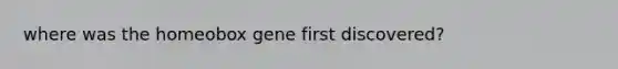 where was the homeobox gene first discovered?