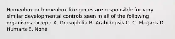 Homeobox or homeobox like genes are responsible for very similar developmental controls seen in all of the following organisms except: A. Drosophilia B. Arabidopsis C. C. Elegans D. Humans E. None