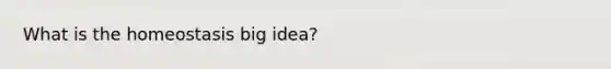 What is the homeostasis big idea?