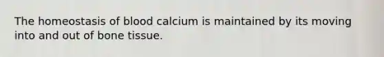 The homeostasis of blood calcium is maintained by its moving into and out of bone tissue.