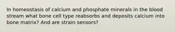 In homeostasis of calcium and phosphate minerals in the blood stream what bone cell type reabsorbs and deposits calcium into bone matrix? And are strain sensors?