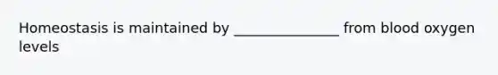 Homeostasis is maintained by _______________ from blood oxygen levels