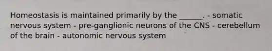 Homeostasis is maintained primarily by the ______. - somatic <a href='https://www.questionai.com/knowledge/kThdVqrsqy-nervous-system' class='anchor-knowledge'>nervous system</a> - pre-ganglionic neurons of the CNS - cerebellum of <a href='https://www.questionai.com/knowledge/kLMtJeqKp6-the-brain' class='anchor-knowledge'>the brain</a> - autonomic nervous system