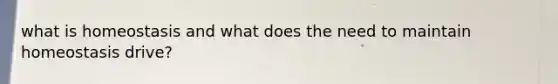 what is homeostasis and what does the need to maintain homeostasis drive?