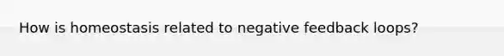 How is homeostasis related to negative feedback loops?