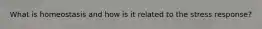 What is homeostasis and how is it related to the stress response?