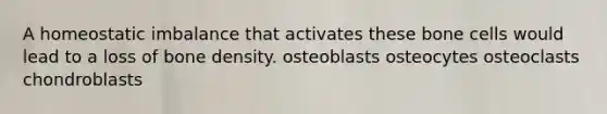 A homeostatic imbalance that activates these bone cells would lead to a loss of bone density. osteoblasts osteocytes osteoclasts chondroblasts