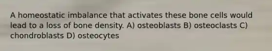 A homeostatic imbalance that activates these bone cells would lead to a loss of bone density. A) osteoblasts B) osteoclasts C) chondroblasts D) osteocytes