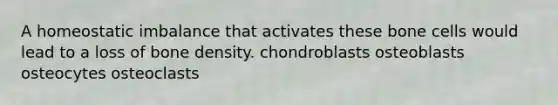 A homeostatic imbalance that activates these bone cells would lead to a loss of bone density. chondroblasts osteoblasts osteocytes osteoclasts