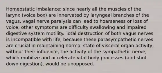 Homeostatic Imbalance: since nearly all the muscles of the larynx (voice box) are innervated by laryngeal branches of the vagus, vagal nerve paralysis can lead to hoarseness or loss of voice; other symptoms are difficulty swallowing and impaired digestive system motility. Total destruction of both vagus nerves is incompatible with life, because these parasympathetic nerves are crucial in maintaining normal state of visceral organ activity; without their influence, the activity of the sympathetic nerve, which mobilize and accelerate vital body processes (and shut down digestion), would be unopposed.