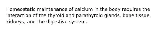 Homeostatic maintenance of calcium in the body requires the interaction of the thyroid and parathyroid glands, bone tissue, kidneys, and the digestive system.