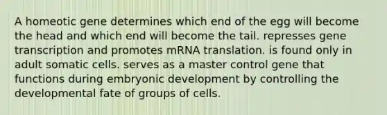 A homeotic gene determines which end of the egg will become the head and which end will become the tail. represses gene transcription and promotes mRNA translation. is found only in adult somatic cells. serves as a master control gene that functions during embryonic development by controlling the developmental fate of groups of cells.