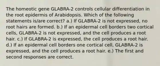 The homeotic gene GLABRA-2 controls cellular differentiation in the root epidermis of Arabidopsis. Which of the following statements is/are correct? a.) If GLABRA-2 is not expressed, no root hairs are formed. b.) If an epidermal cell borders two cortical cells, GLABRA-2 is not expressed, and the cell produces a root hair. c.) If GLABRA-2 is expressed, the cell produces a root hair. d.) If an epidermal cell borders one cortical cell, GLABRA-2 is expressed, and the cell produces a root hair. e.) The first and second responses are correct.