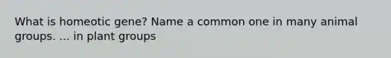 What is homeotic gene? Name a common one in many animal groups. ... in plant groups