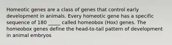 Homeotic genes are a class of genes that control early development in animals. Every homeotic gene has a specific sequence of 180 _____ called homeobox (Hox) genes. The homeobox genes define the head-to-tail pattern of development in animal embryos