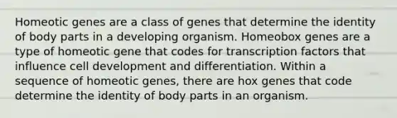 Homeotic genes are a class of genes that determine the identity of body parts in a developing organism. Homeobox genes are a type of homeotic gene that codes for transcription factors that influence cell development and differentiation. Within a sequence of homeotic genes, there are hox genes that code determine the identity of body parts in an organism.