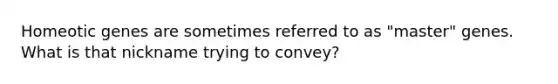 Homeotic genes are sometimes referred to as "master" genes. What is that nickname trying to convey?