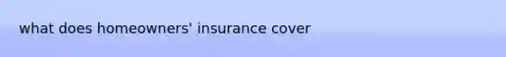 what does homeowners' insurance cover