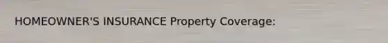 HOMEOWNER'S INSURANCE Property Coverage: