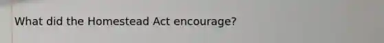 What did the Homestead Act encourage?