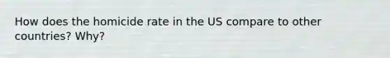 How does the homicide rate in the US compare to other countries? Why?