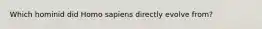 Which hominid did Homo sapiens directly evolve from?