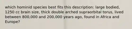 which hominid species best fits this description: large bodied, 1250 cc brain size, thick double arched supraorbital torus, lived between 800,000 and 200,000 years ago, found in Africa and Europe?