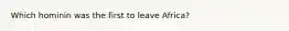Which hominin was the first to leave Africa?