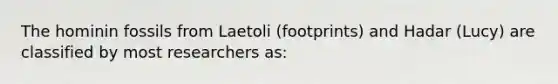 The hominin fossils from Laetoli (footprints) and Hadar (Lucy) are classified by most researchers as: